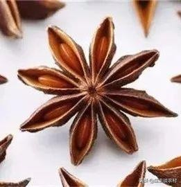 香料的正确使用方法和注意事项,卤水加桂皮的正确方法