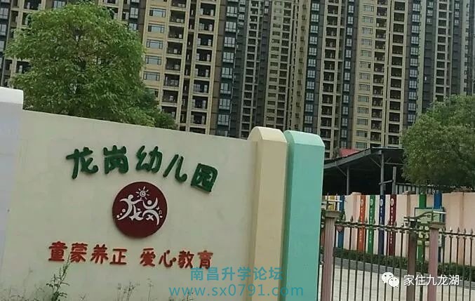 九龙湖幼儿园招生公告,九龙湖大地洵美幼儿园