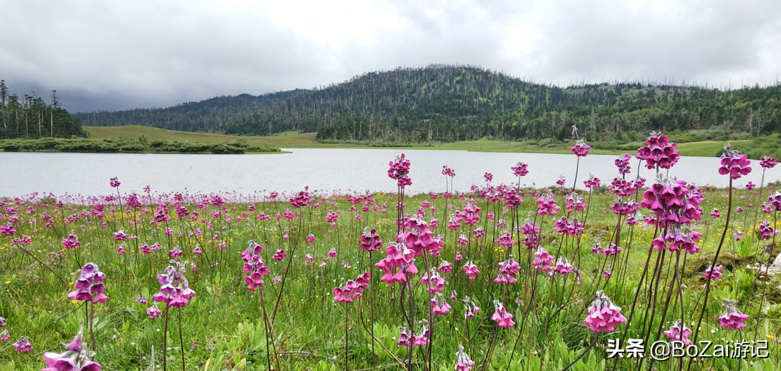 云南迪庆有哪些旅游景点,迪庆最值得去的景点有哪些地方