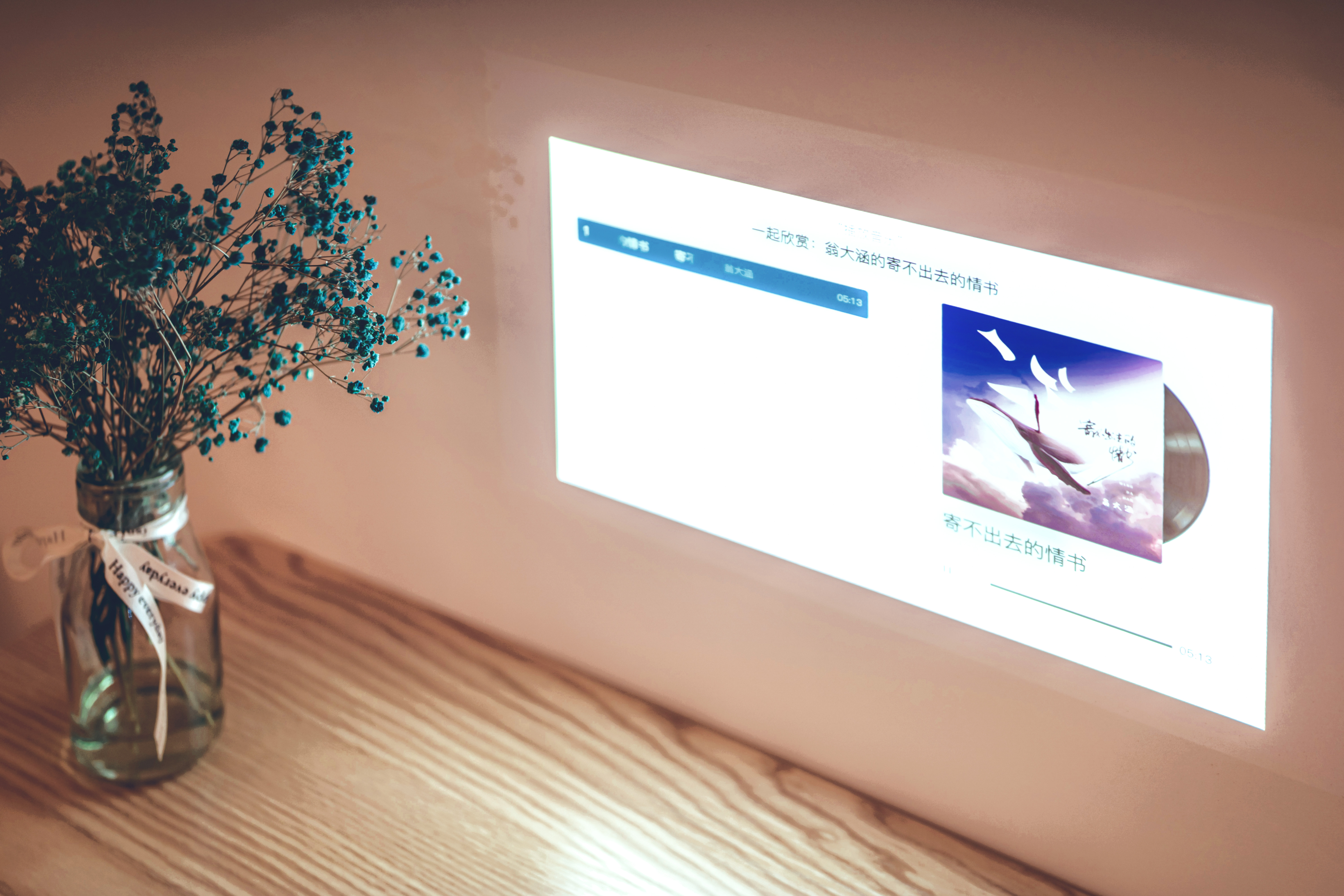 智能投影幕布,微投影坚果