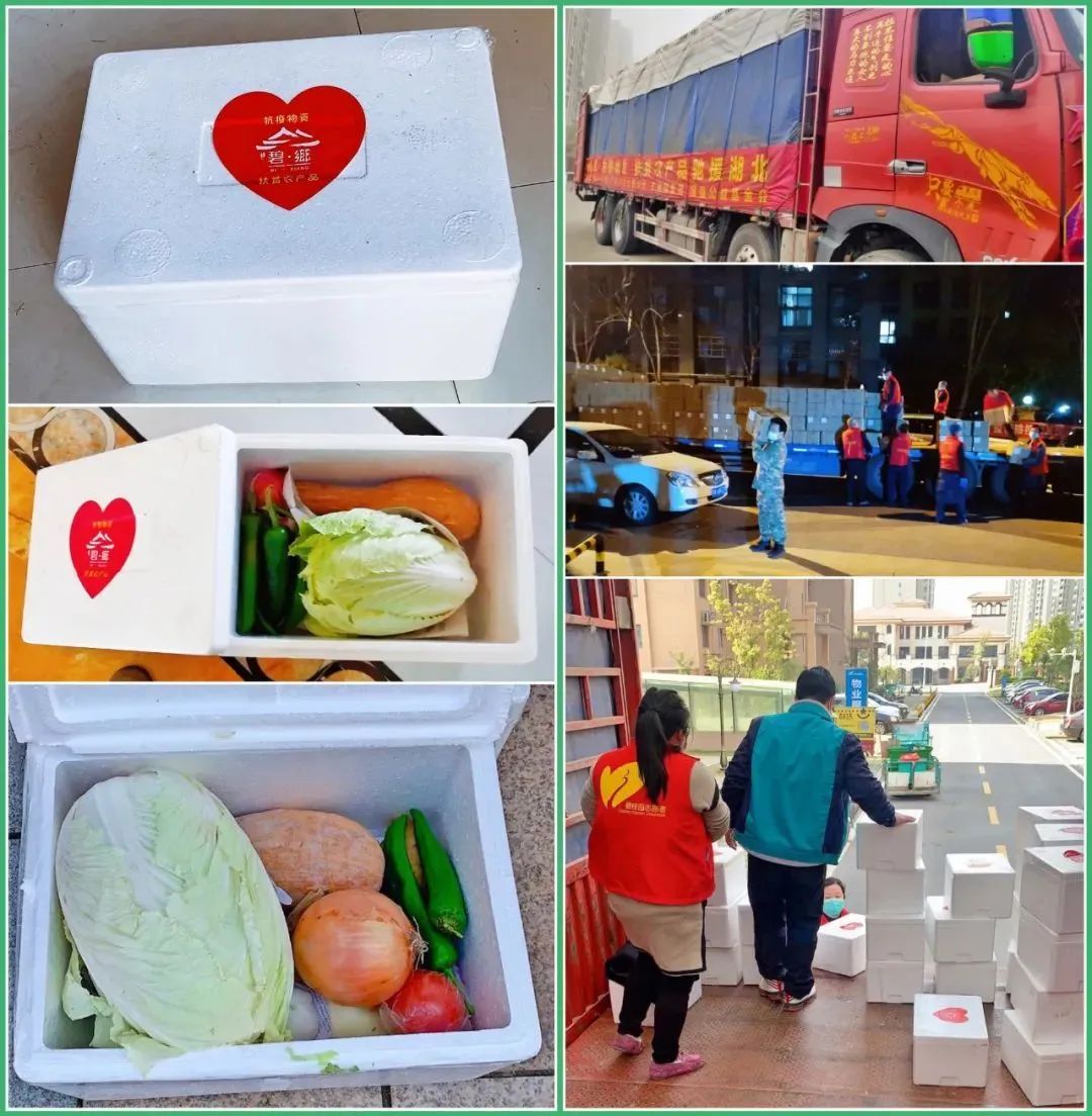 碧桂园疫情过后换房,碧桂园换房