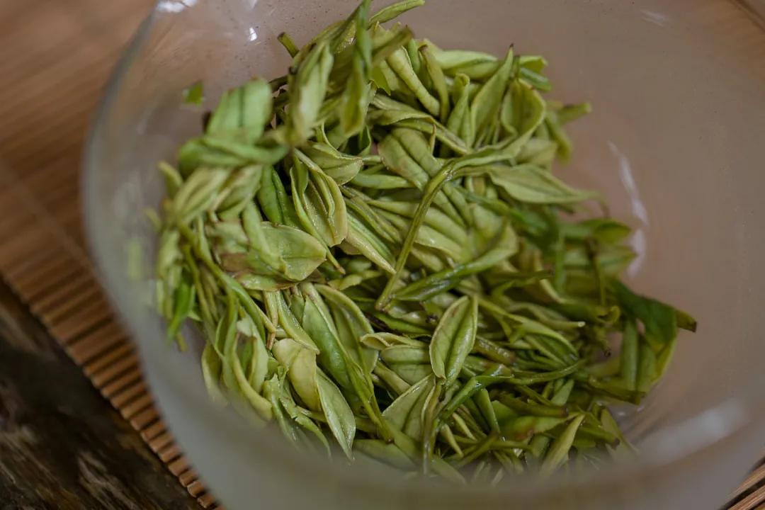 安吉白茶2024新茶高山白茶,2018年安吉明前白茶