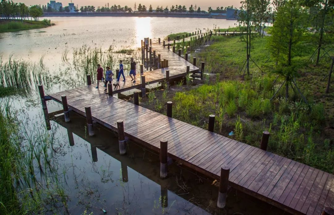 南京这些免费公园，让你任性玩个遍