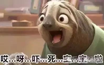 当男孩足球比赛遇上女裁判员,当足球比赛遇到篮球裁判