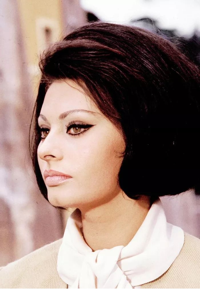 索菲亚罗兰女性特征,索菲亚罗兰年轻时的样子