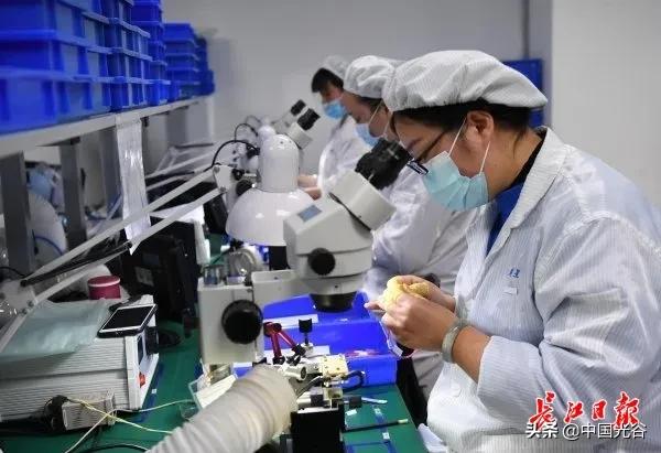 “驯”光20年，光谷这家企业在头发粗细的光纤上磨透镜