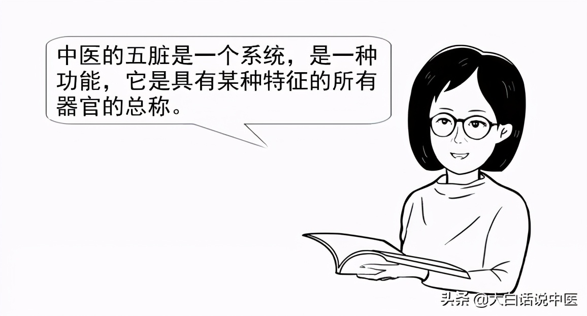 大白话说中医第七十九集,大白话说中医第二十集