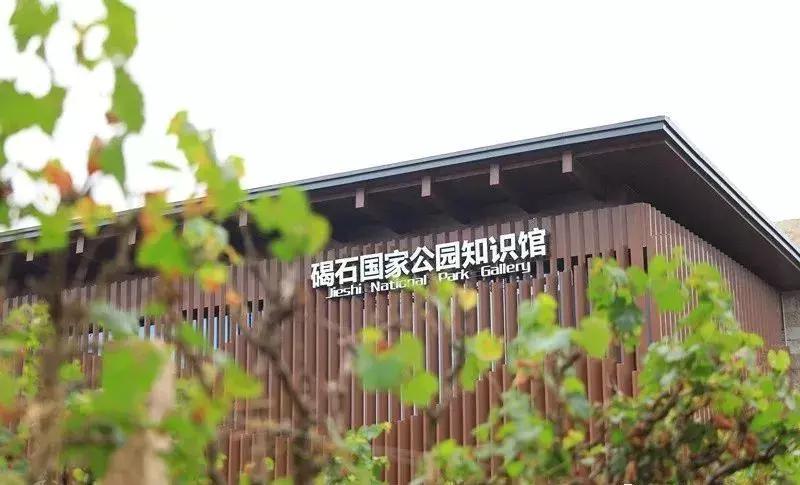 葡萄小镇攻略,长安区南寨西村太阳葡萄小镇