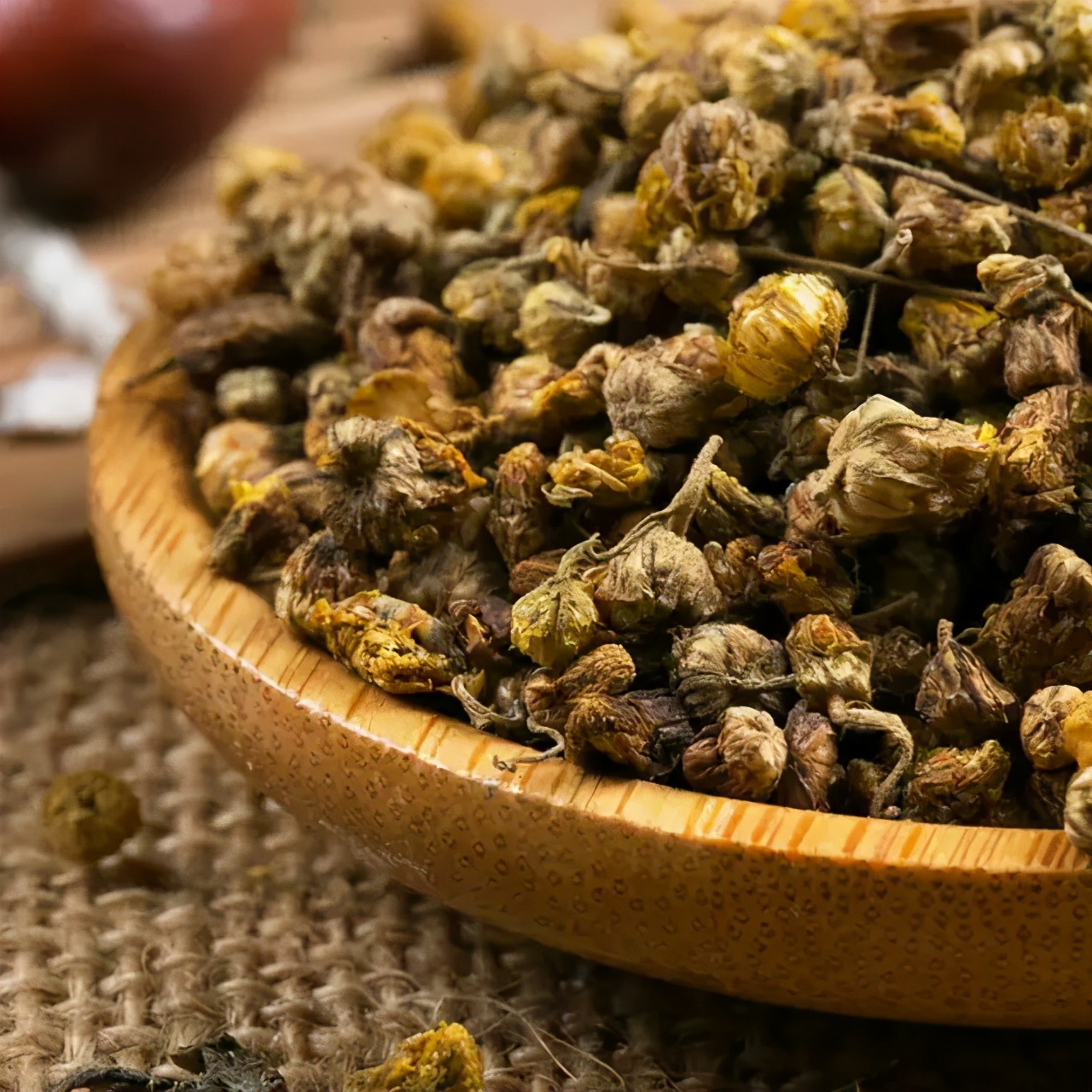 养生知药|野菊花