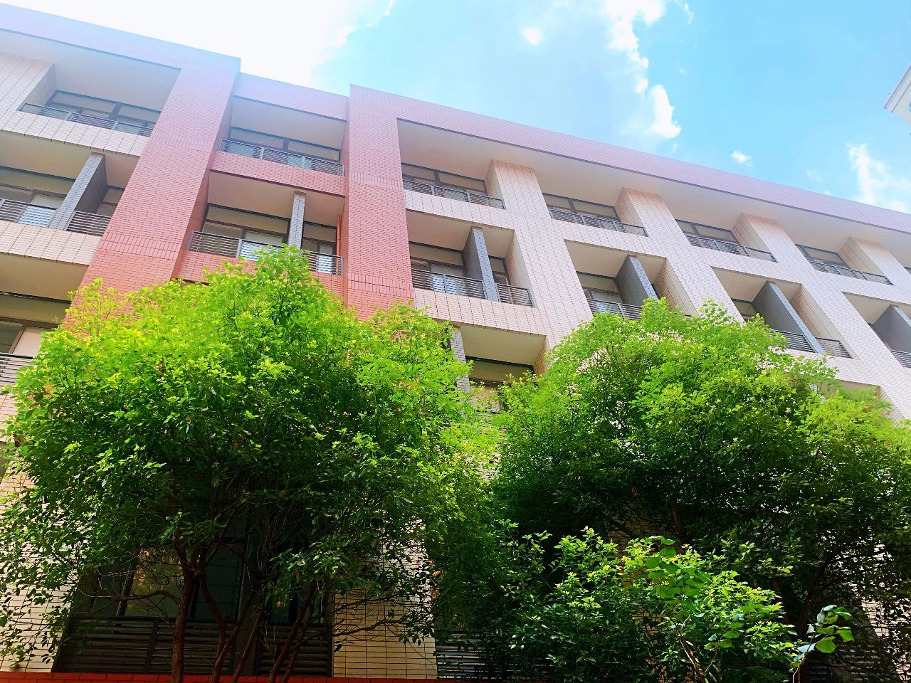 金中开学,金中岱山和雨花岱山