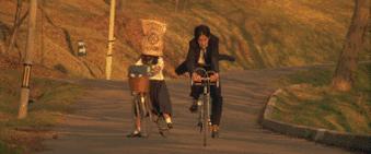 情书柏原崇藤井树解析,藤井树柏原崇是啥意思