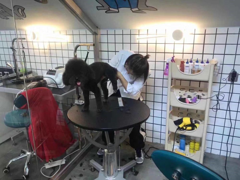 24小时自助宠物店加盟,宠物店加盟哪个最靠谱