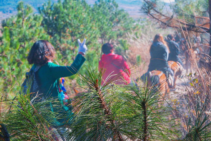 丽江拉市海茶马古道怎么去,丽江拉市海茶马古道线路