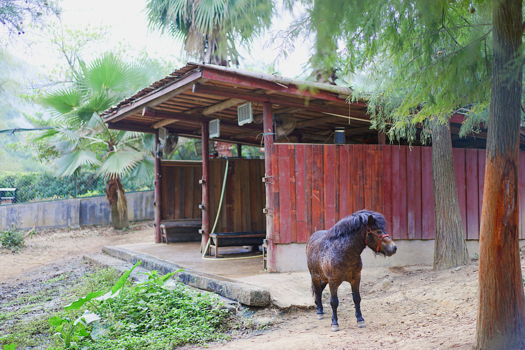 清远森波拉避暑胜地,森波拉奇妙世界温泉门票价格