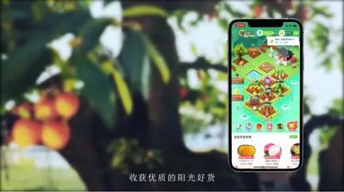 拼多多美团淘宝种水果,拼多多淘宝京东哪个种树快