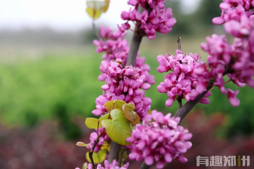 郑州周边人少清静有山有水的地方,郑州人少的公园适合野营