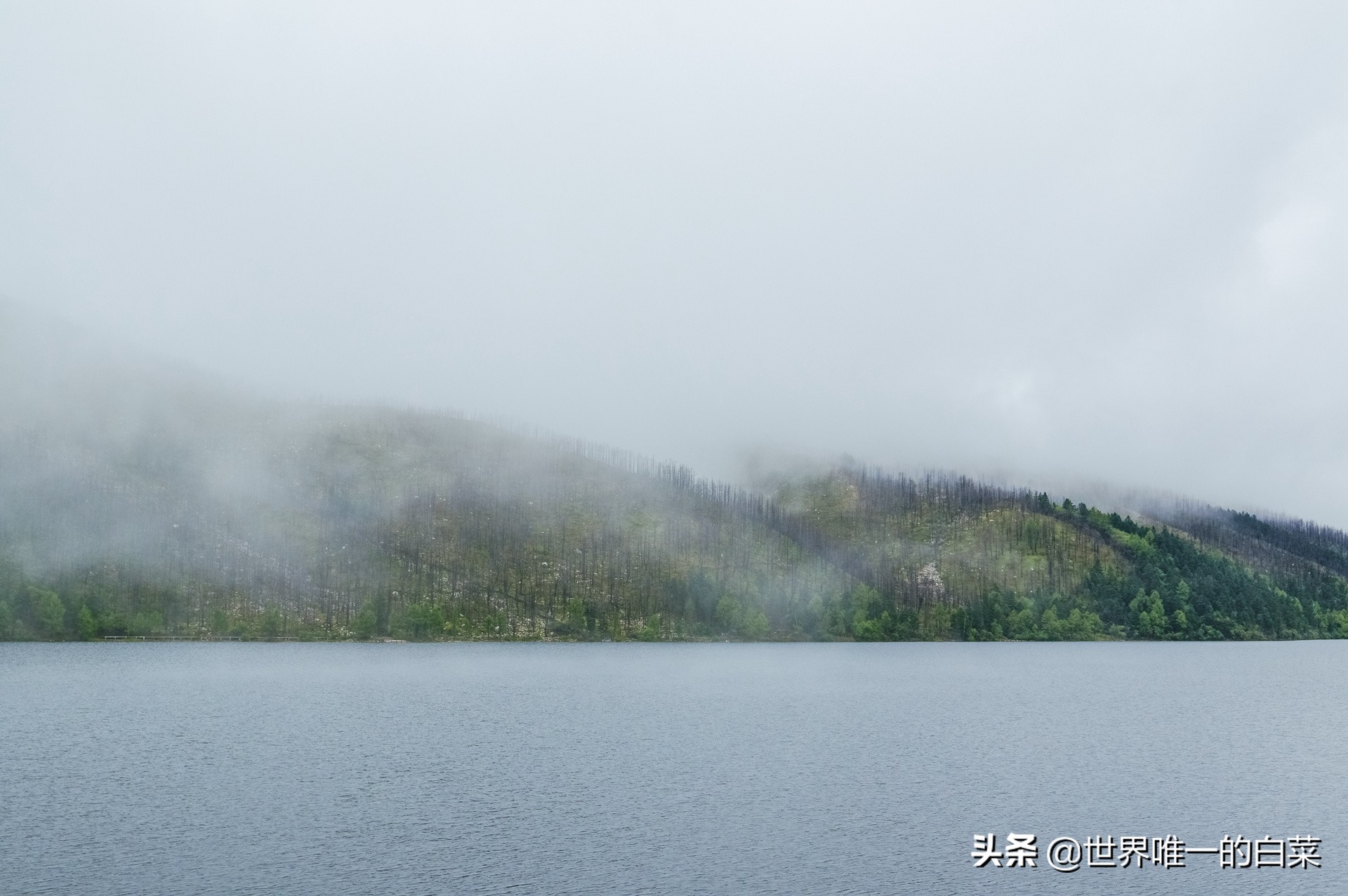 康定情歌川西旅游,318川西康定木格措