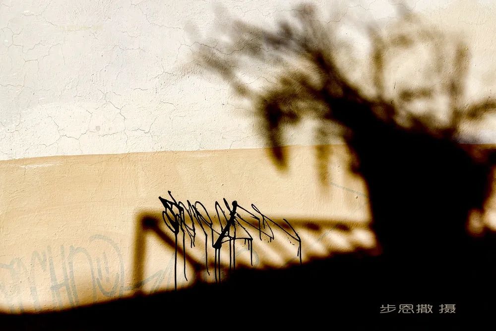 在闲逛中爱上这座城----瓜纳华托