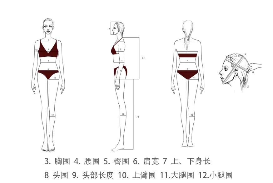 模特艺考可报考的学校,模特艺考适合哪类考生