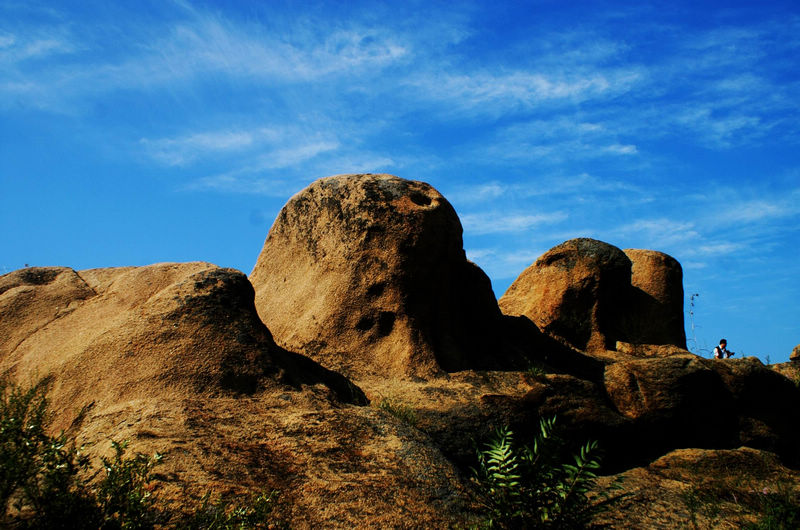 滕州赏花免费景点,滕州莲青山游玩攻略