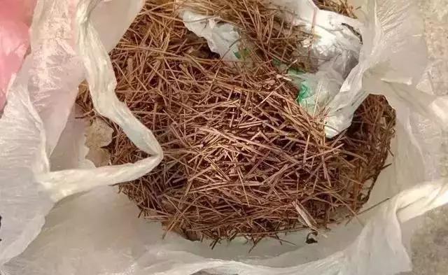 可以给花盆土里加营养液吗,盆里加点它养花10年不黄叶