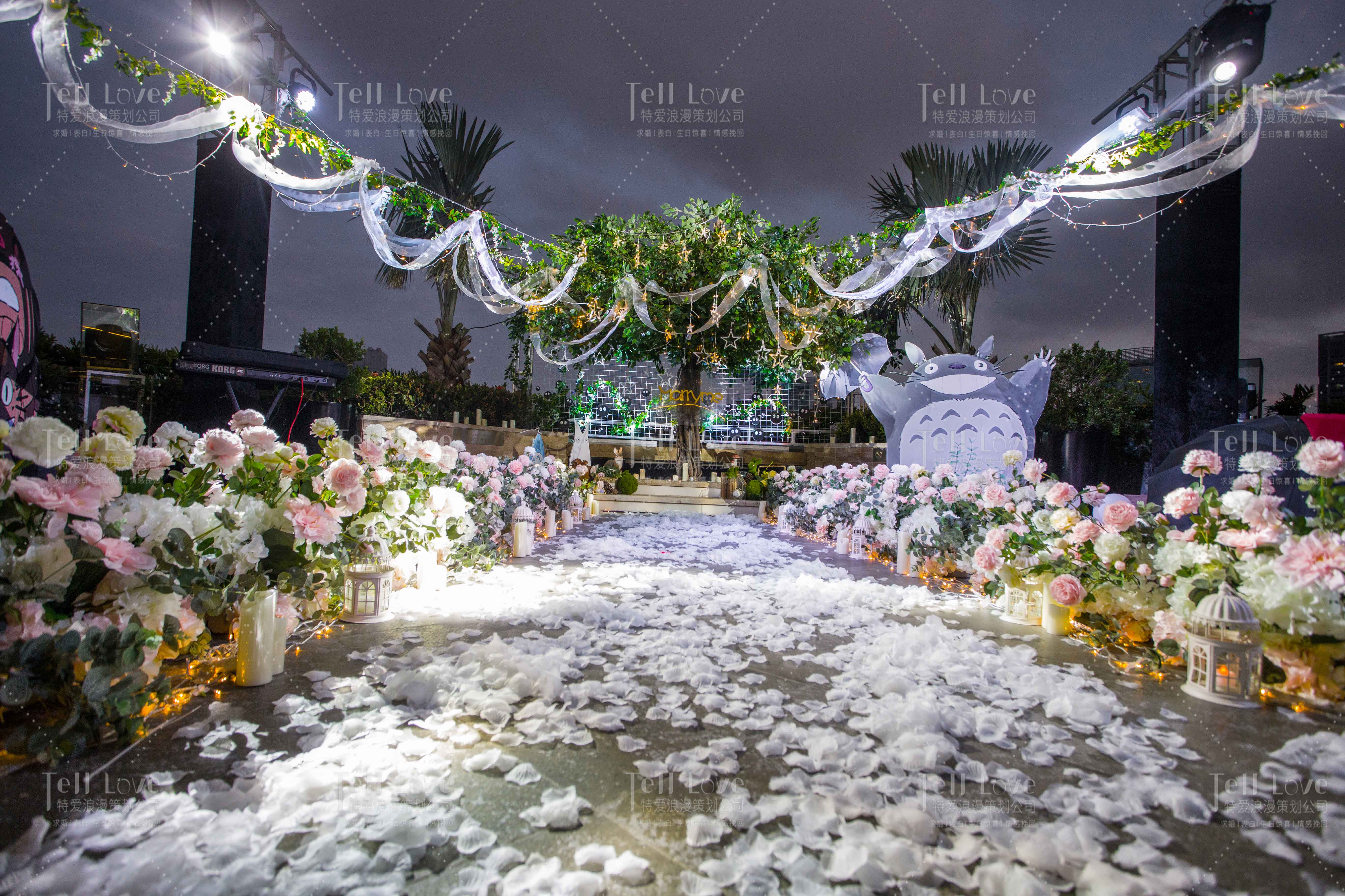 惊喜求婚婚礼策划方案大全,浪漫求婚告白创意求婚方案大揭秘