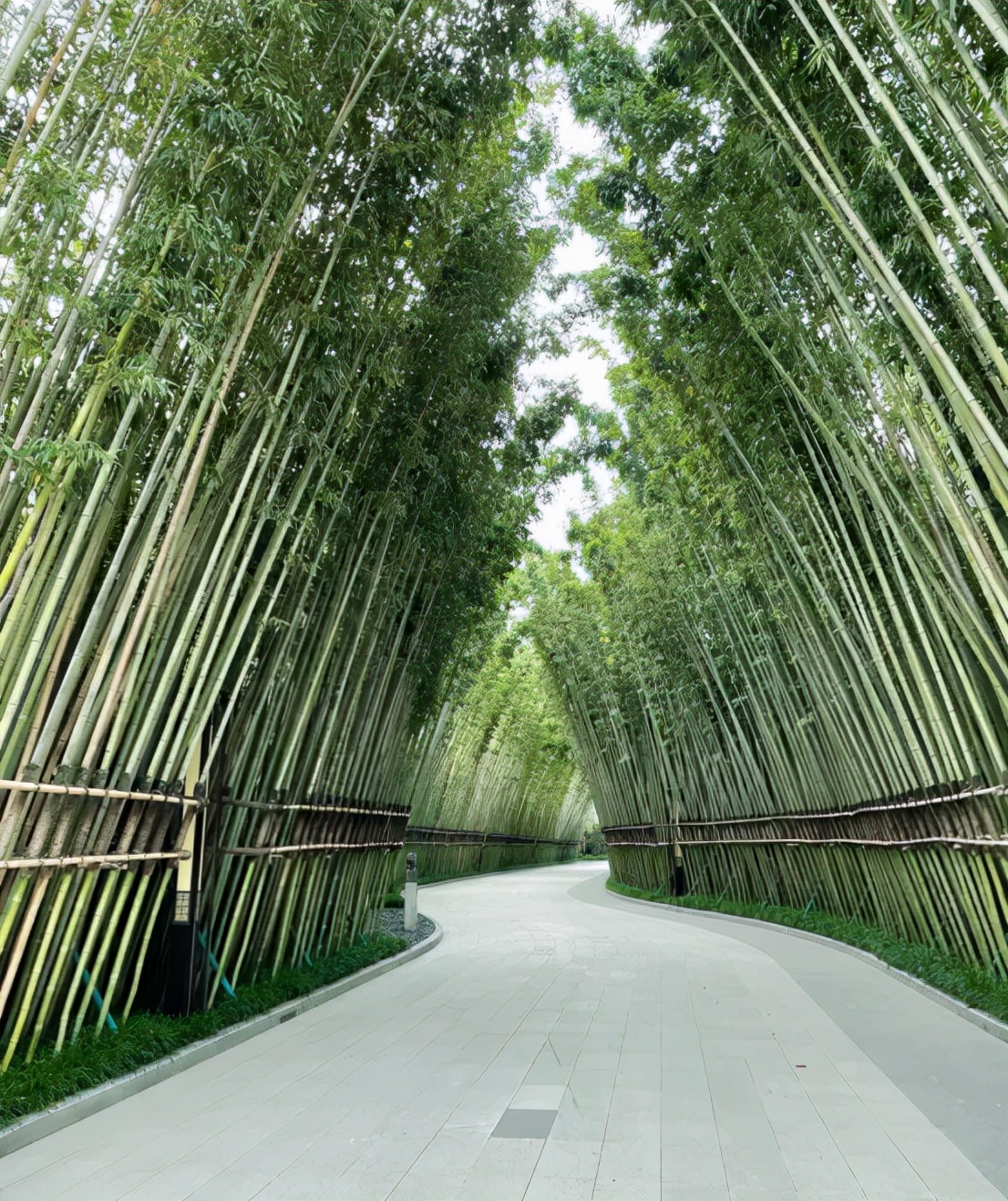 电建泛悦城最新房价,港务区电建泛悦城卖完了吗