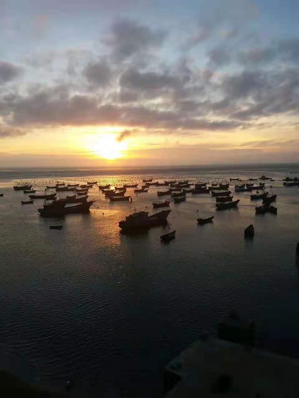 枸杞岛简介,关于宁夏枸杞你了解多少