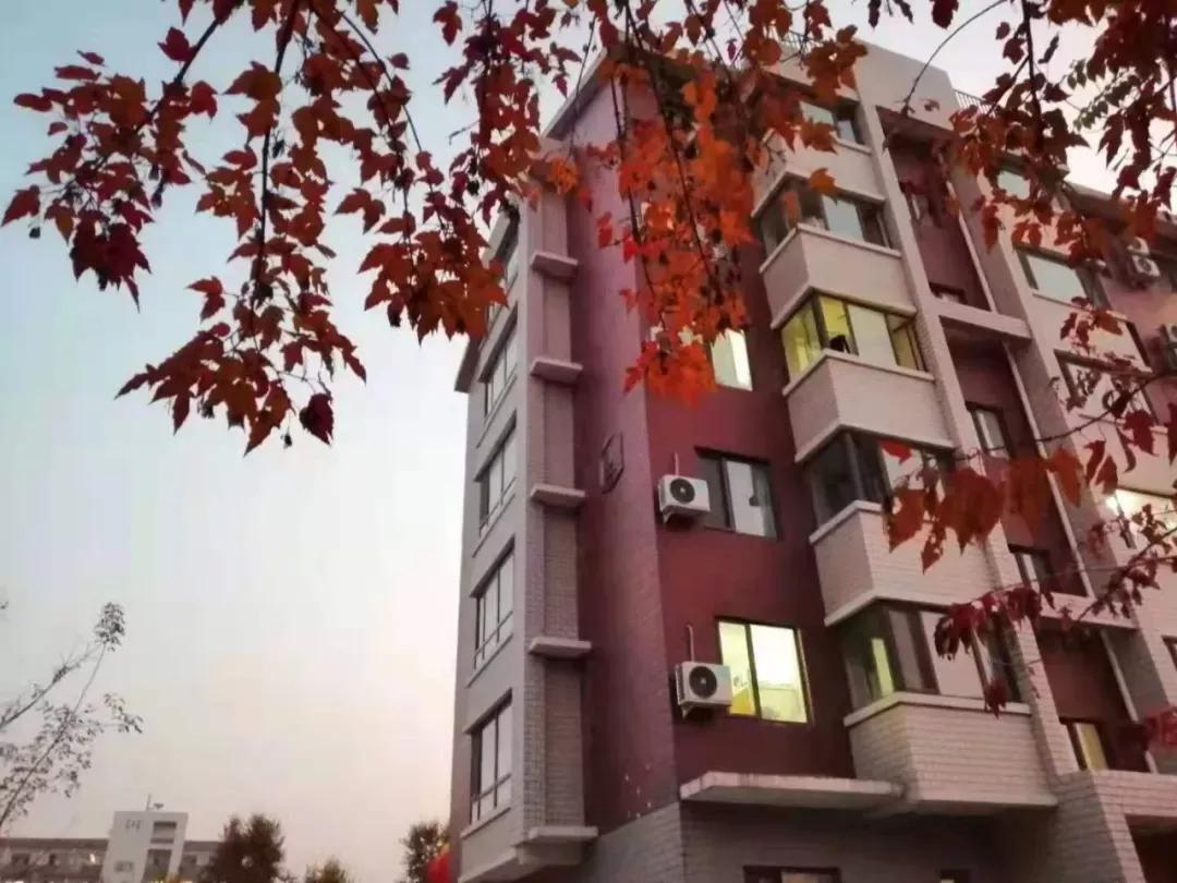 辽宁中医药大学杏林学院规模,辽宁中医学院杏林学院的排名