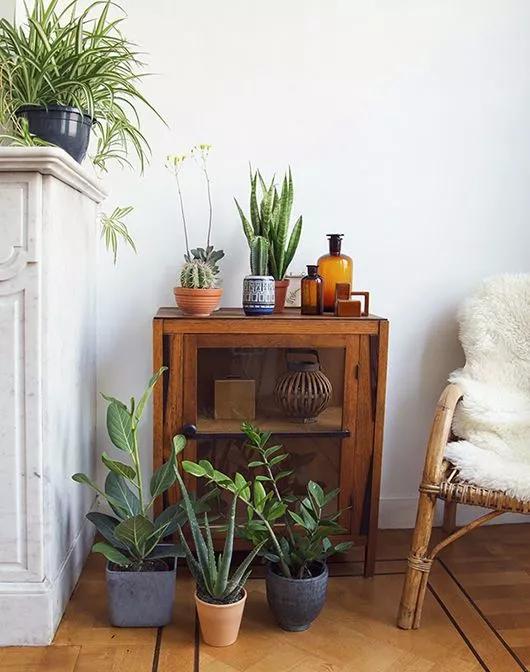 家庭药瓶花瓶插花教程,药瓶子插花