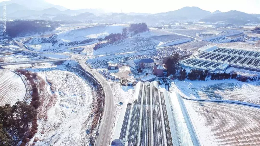 韩剧里都没有的另类玩法！这份韩国旅行攻略你值得拥有哦