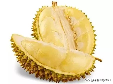 吃货盛宴马来西亚,马来西亚最值得吃的美食