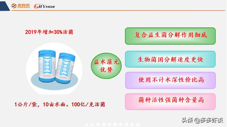 高温季节有蓝藻如何肥水,蓝藻不肥水会怎么样