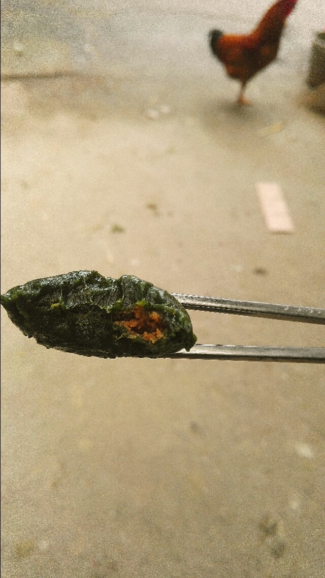 蛋黄艾草青团的正宗做法,艾草青团的做法和配方红豆沙馅