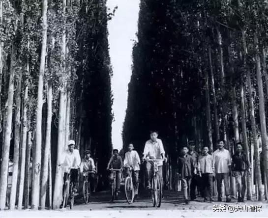 伟大的新疆,伟大的阿勒泰