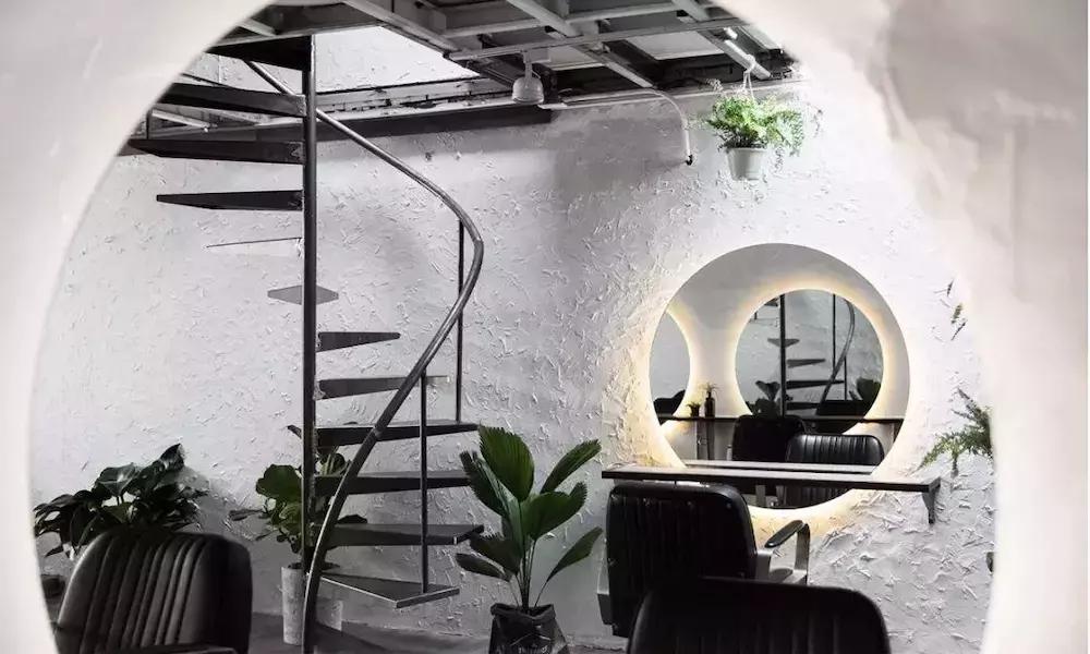 发廊角落绿植,发廊适合放的绿植