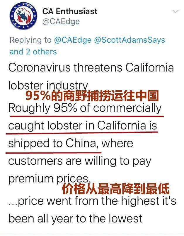 龙虾不吃东西,龙虾没人吃