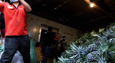 云南弥勒农产品直播卖货,弥勒农产品直播卖货