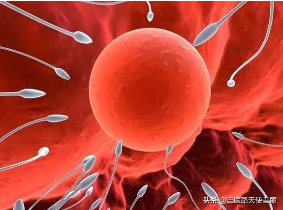 女性不孕不育的原因有哪些,女性不孕不育主要有哪些原因