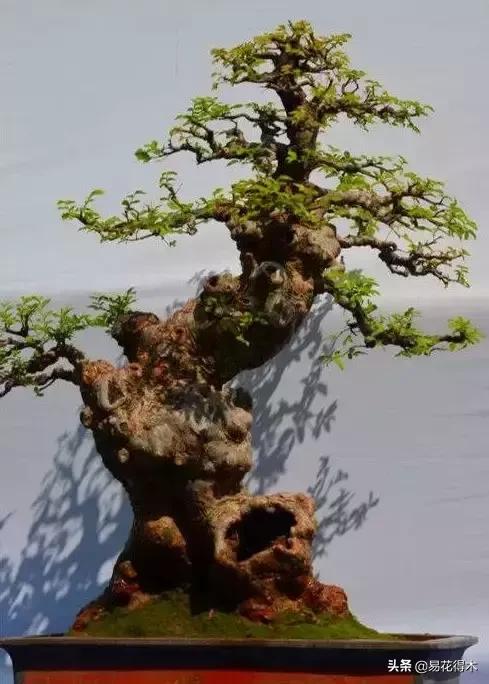 下山桩杀根没到位怎么处理,下山桩的处理方法