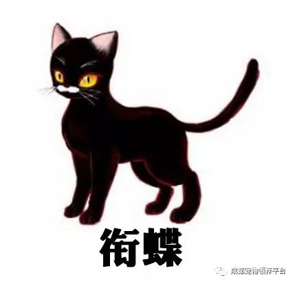 谁说土猫无名猫？快来围观古代猫谱，你家有没有镇宅神兽！