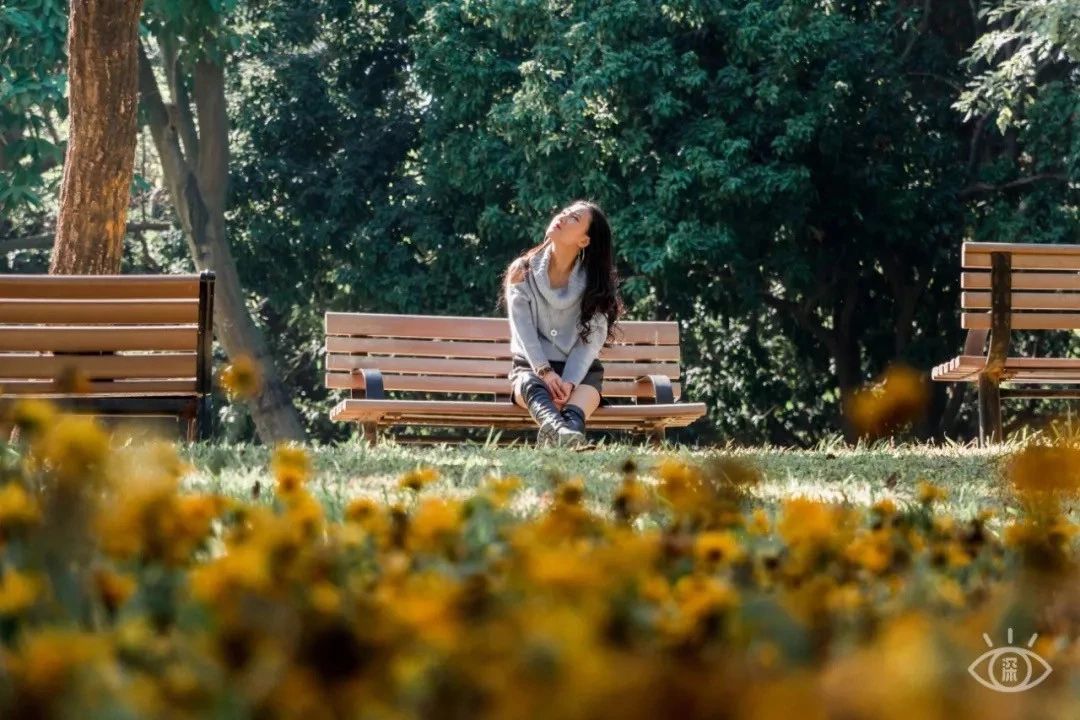 深圳的一处热门古风拍摄地,深圳古风拍照景点推荐
