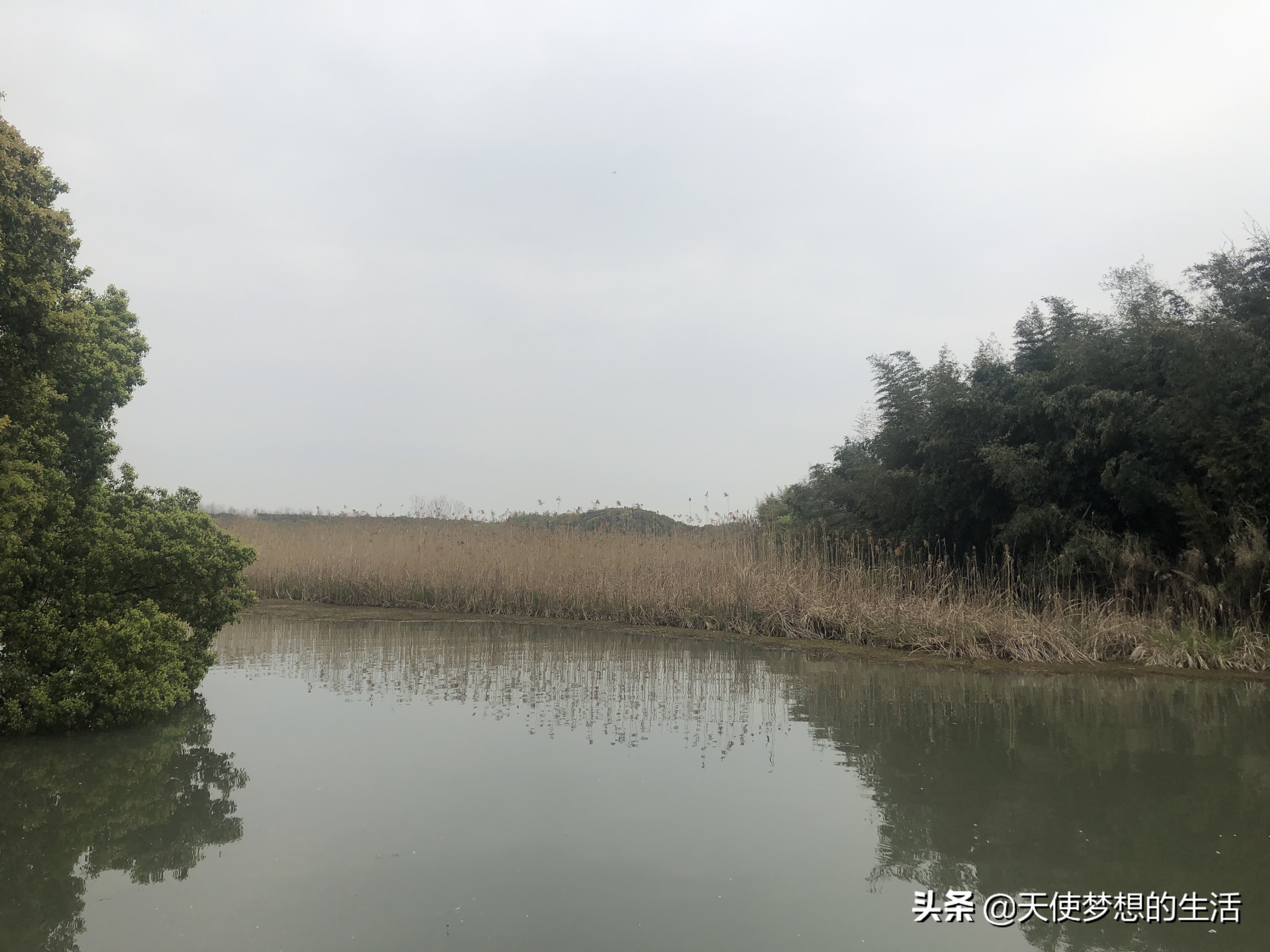苏州常熟沙家浜有什么好玩的,常熟沙家浜芦苇荡