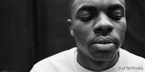 vincestaples鑸炶箞,vincestaples涓撹緫