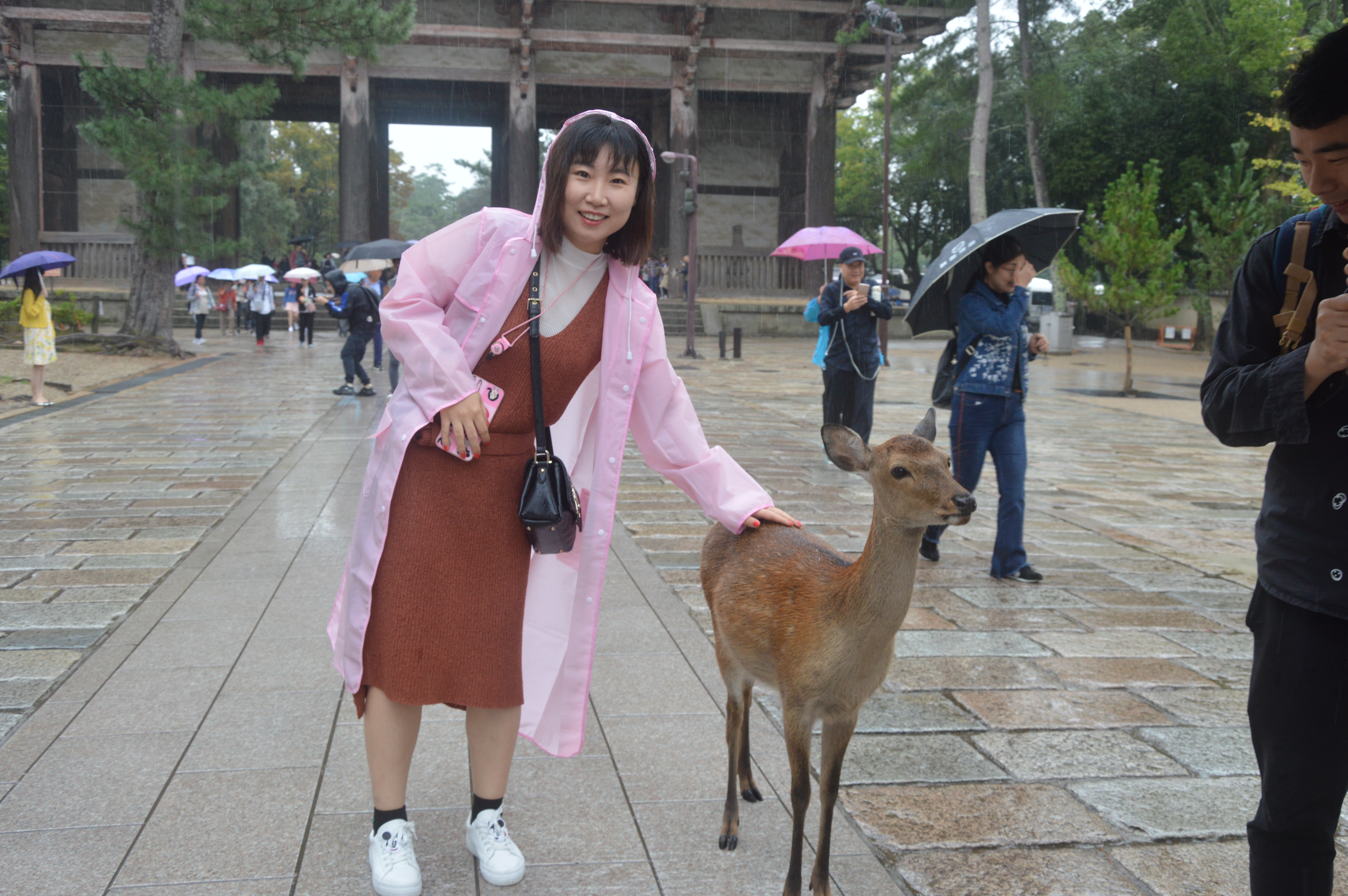 日本旅游攻略本州双古都7天,日本本州六日游攻略