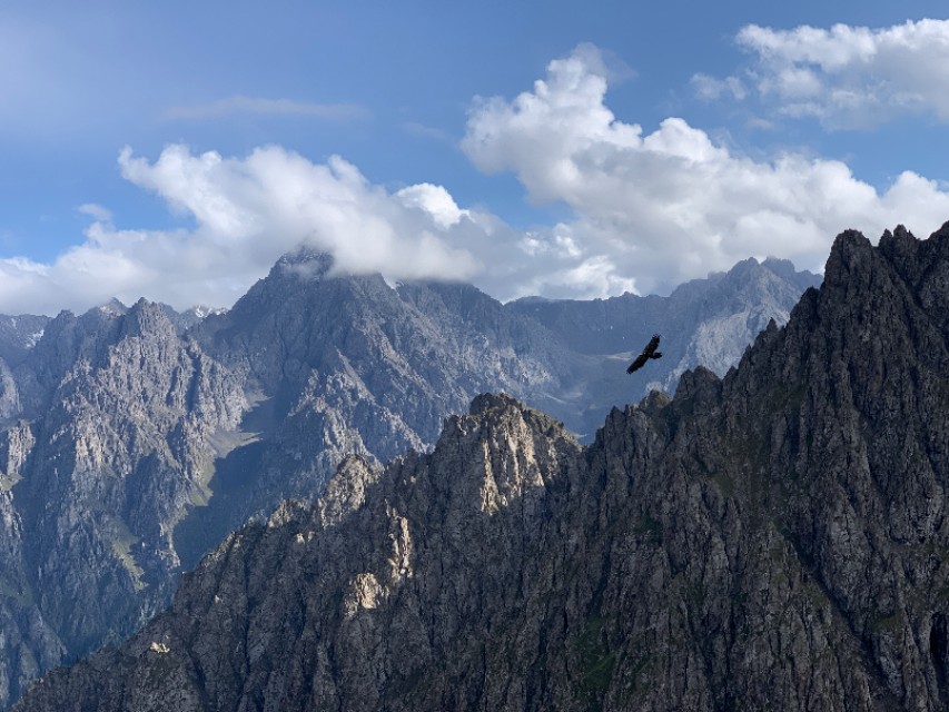 鐙煎鏃ヨ鐪熷疄鏁呬簨,鐙煎鏃ヨ