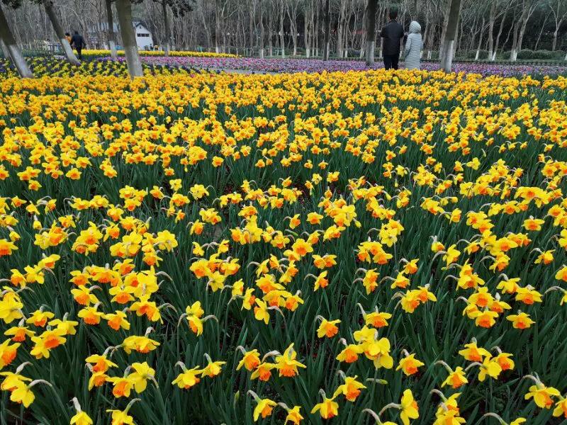 2022年世界手机摄影大赛征稿,手拍世界摄影网