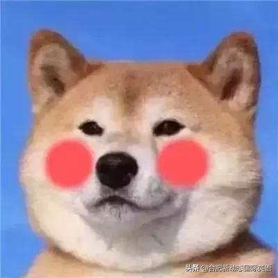 一句英文描述你的英语水平,用一句话证明你的英语水平的英语