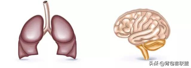 户外高反应急方法,户外高反