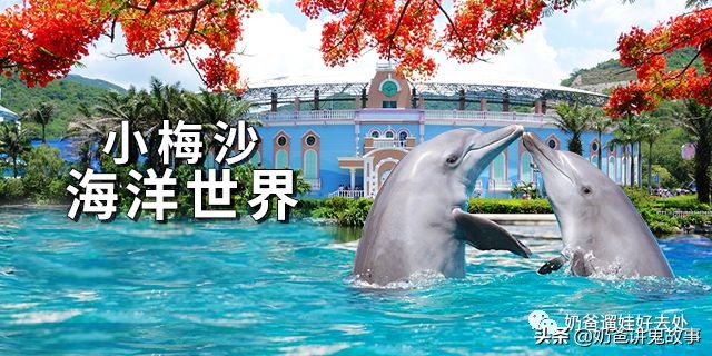 深圳生日当天有什么福利,深圳2019生日福利攻略